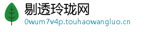 剔透玲珑网